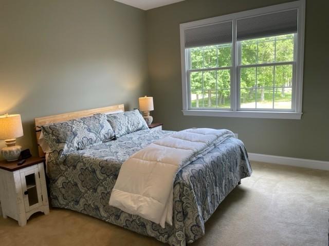 109 Chandelle Dr, Tullahoma, TN 37388 - photo 16