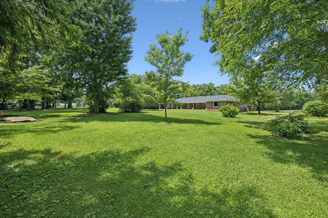 1061 Alford Rd, Murfreesboro, TN 37129 - view of green lawn