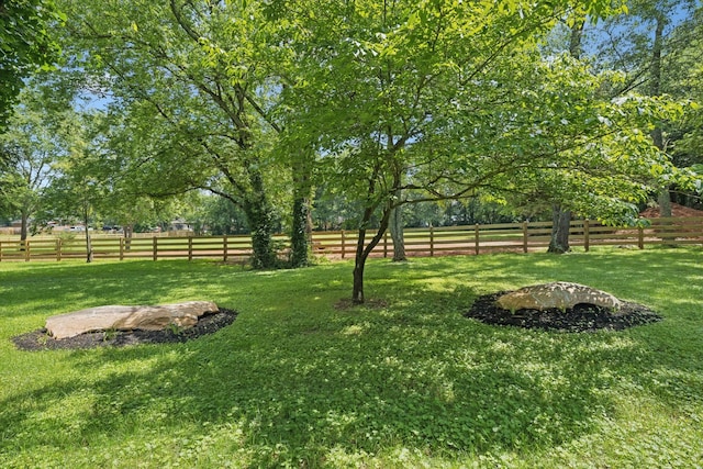 1061 Alford Rd, Murfreesboro, TN 37129 - view of yard featuring a view of countryside