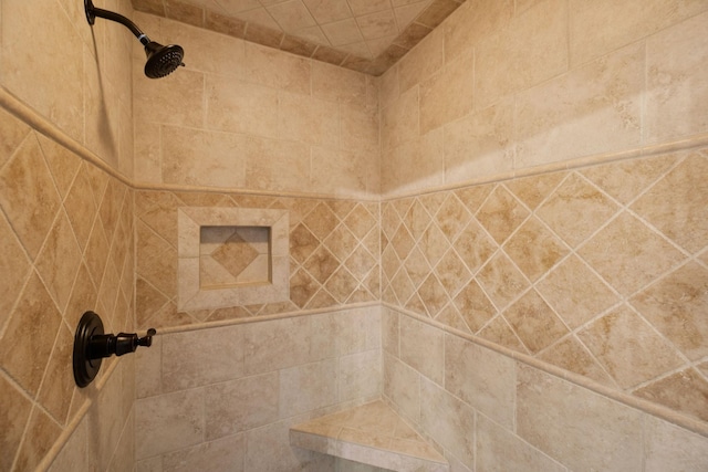 1061 Alford Rd, Murfreesboro, TN 37129 - bathroom view of a tile shower