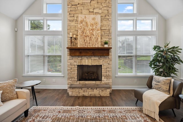 773 Curve St, Chattanooga, TN 37405 - living area featuring vaulted ceiling, wood finished floors, plenty of natural light, and a stone fireplace