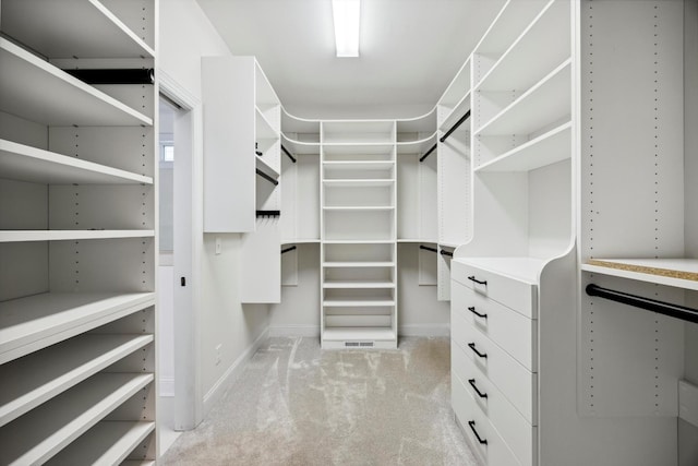 773 Curve St, Chattanooga, TN 37405 - walk in closet featuring light colored carpet