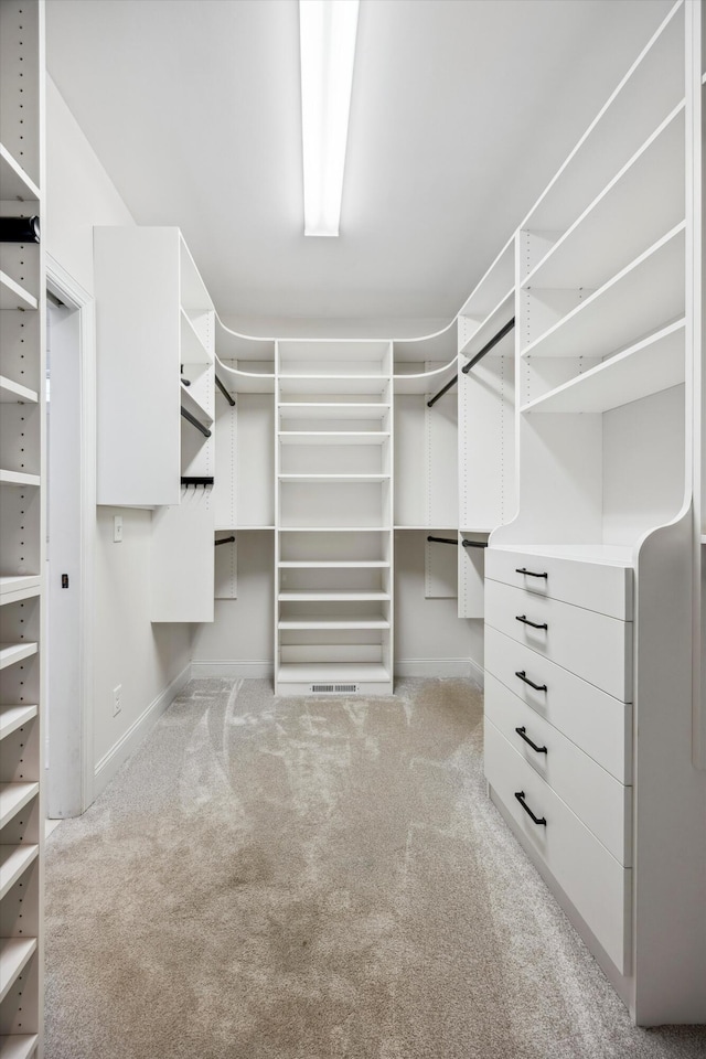 773 Curve St, Chattanooga, TN 37405 - walk in closet featuring carpet flooring