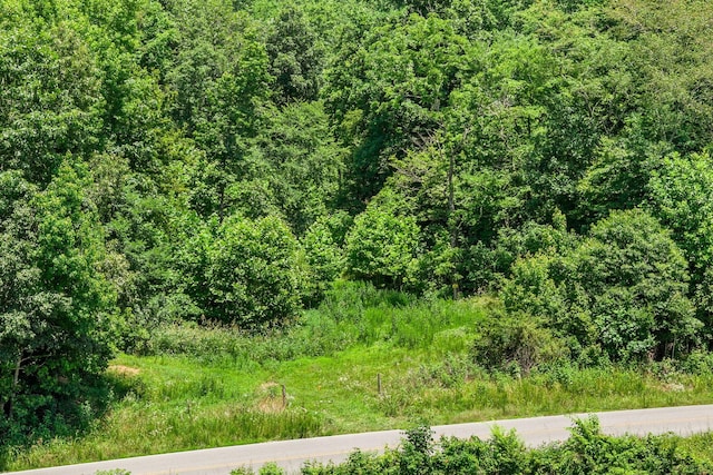 0 Herman Adams Rd, Cumberland City, TN 37050