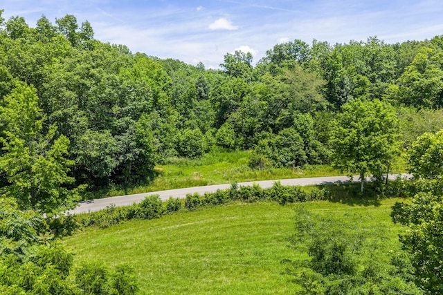 0 Herman Adams Rd, Cumberland City, TN 37050
