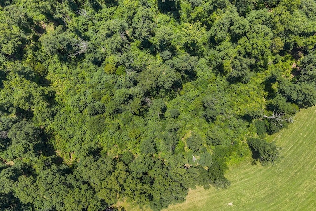 0 Herman Adams Rd, Cumberland City, TN 37050