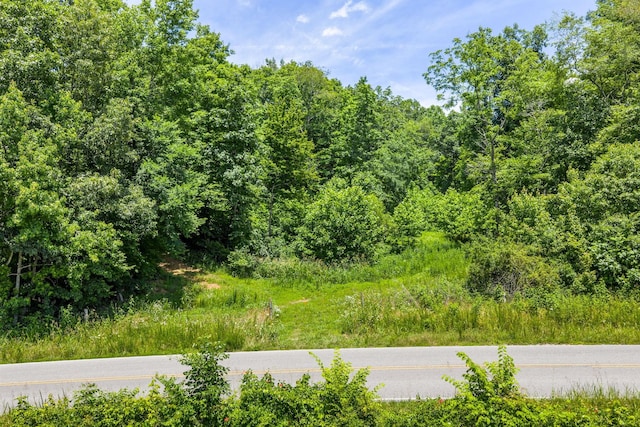 0 Herman Adams Rd, Cumberland City, TN 37050