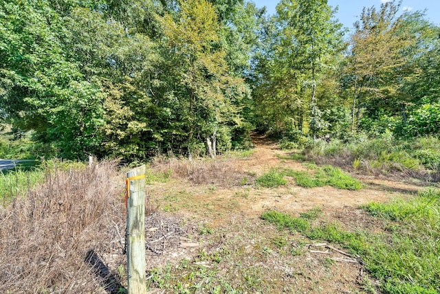 0 Herman Adams Rd, Cumberland City, TN 37050