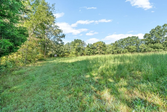 0 Herman Adams Rd, Cumberland City, TN 37050