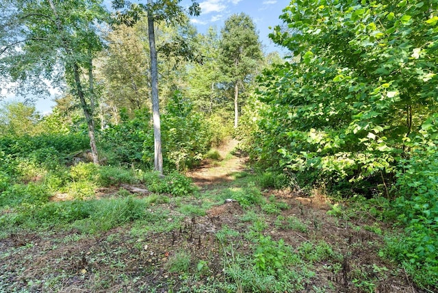 0 Herman Adams Rd, Cumberland City, TN 37050