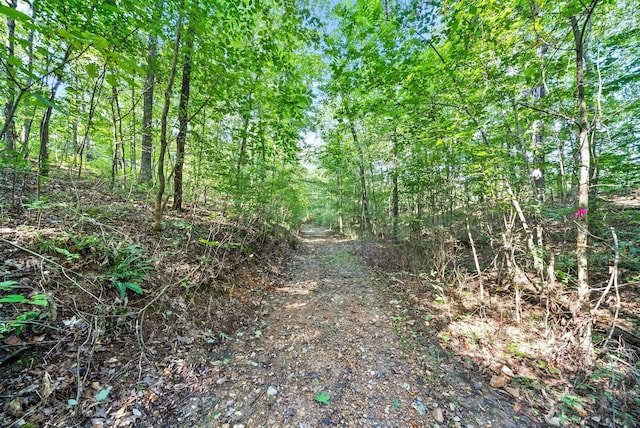 0 Herman Adams Rd, Cumberland City, TN 37050