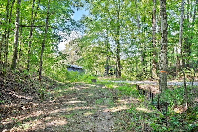 0 Herman Adams Rd, Cumberland City, TN 37050