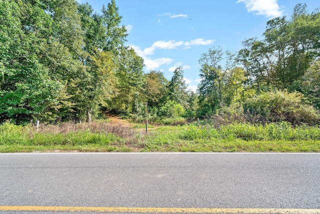 0 Herman Adams Rd, Cumberland City, TN 37050
