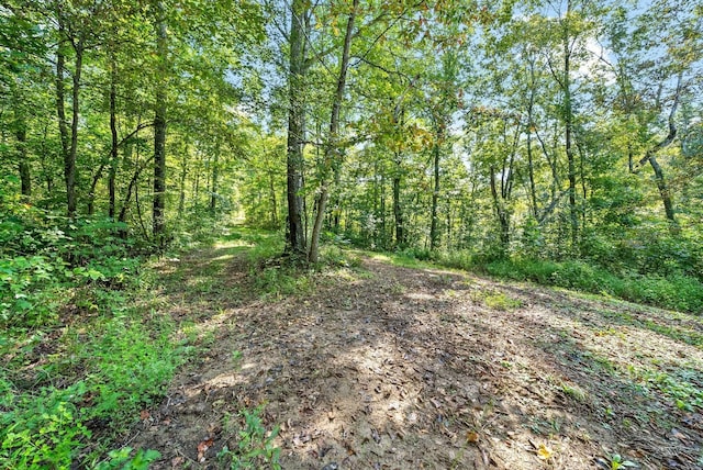 0 Herman Adams Rd, Cumberland City, TN 37050