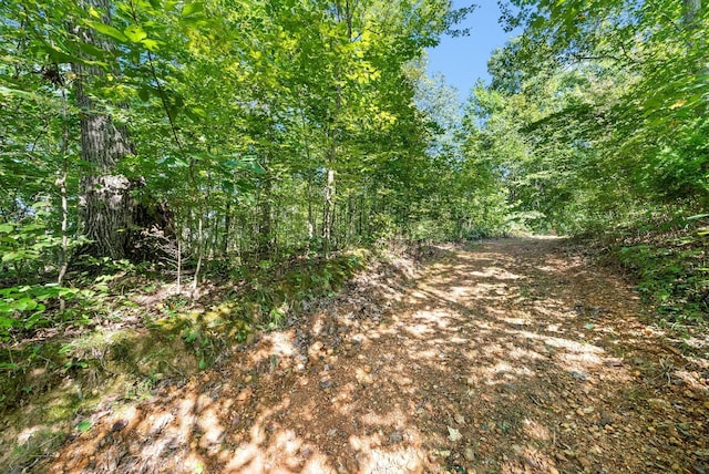 0 Herman Adams Rd, Cumberland City, TN 37050