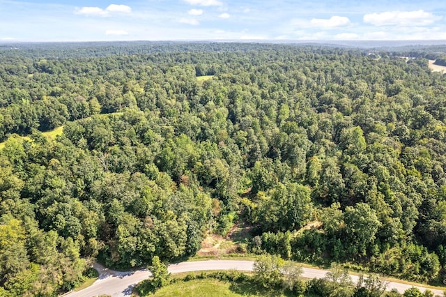 0 Herman Adams Rd, Cumberland City, TN 37050
