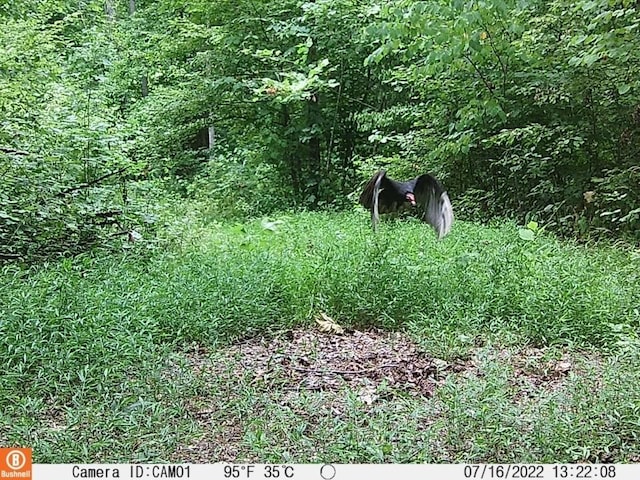 0 Herman Adams Rd, Cumberland City, TN 37050