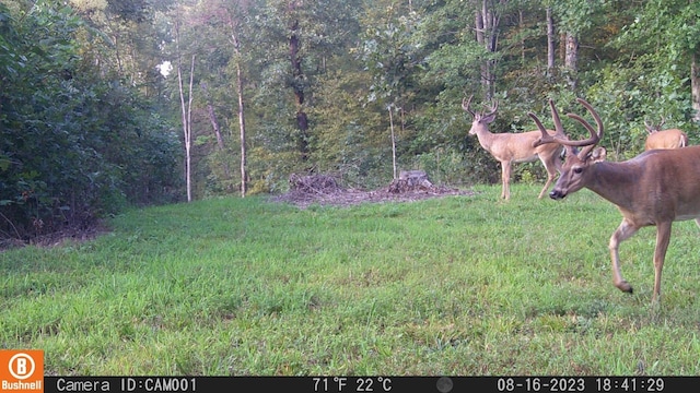0 Herman Adams Rd, Cumberland City, TN 37050