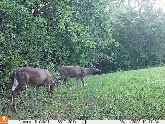 0 Herman Adams Rd, Cumberland City, TN 37050
