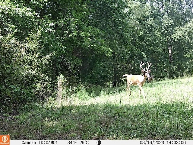 0 Herman Adams Rd, Cumberland City, TN 37050