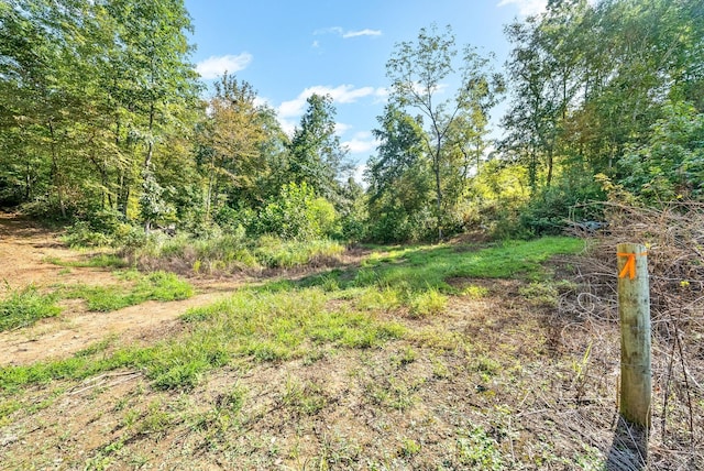 0 Herman Adams Rd, Cumberland City, TN 37050