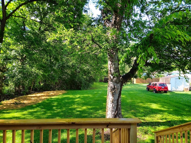 1204 W Lane St, Shelbyville, TN 37160 - view of green lawn featuring a shed