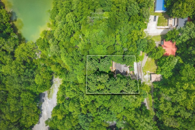 655 Lakeside Dr, Smithville, TN 37166 - aerial view of property and surrounding area with property parcel outlined and a large body of water