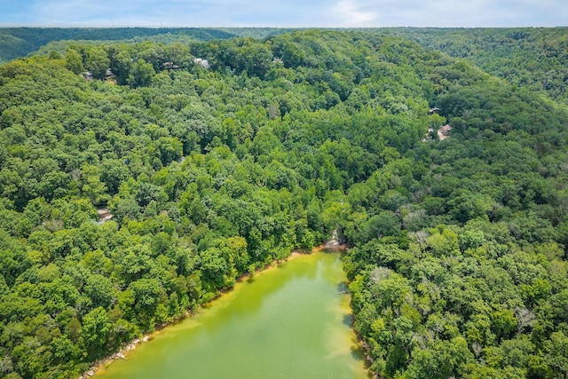 655 Lakeside Dr, Smithville, TN 37166 - drone / aerial view of a forest and a large body of water