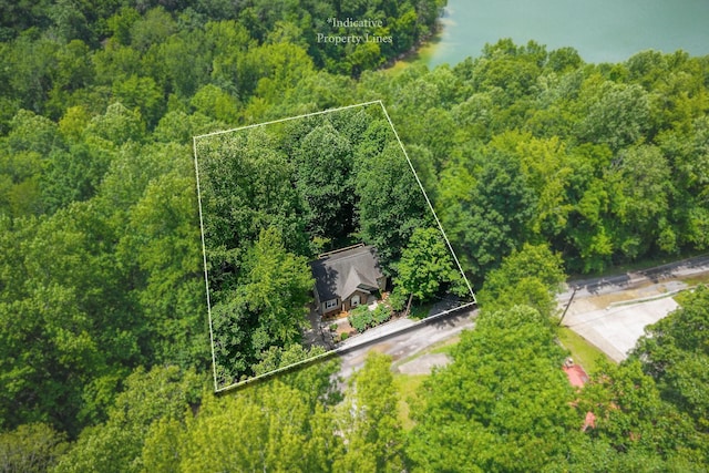 655 Lakeside Dr, Smithville, TN 37166 - aerial view of property's location with property parcel outlined