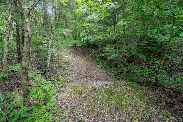 655 Lakeside Dr, Smithville, TN 37166 - view of woods