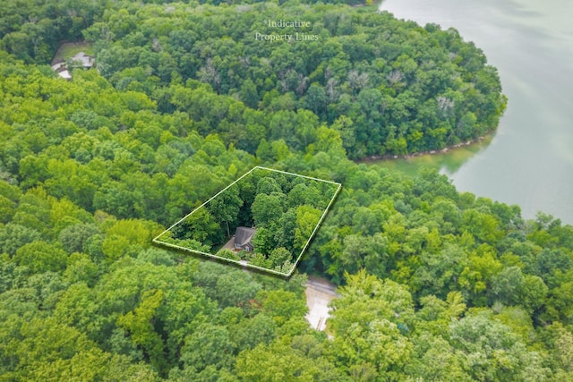 655 Lakeside Dr, Smithville, TN 37166 - view of property location with property parcel outlined and a large body of water