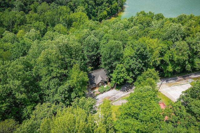 655 Lakeside Dr, Smithville, TN 37166 - drone / aerial view of a heavily wooded area