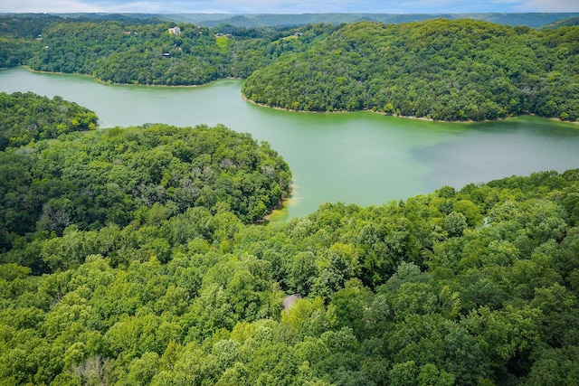 655 Lakeside Dr, Smithville, TN 37166 - aerial view of a large body of water