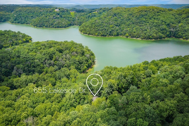 655 Lakeside Dr, Smithville, TN 37166 - aerial view of a nearby body of water