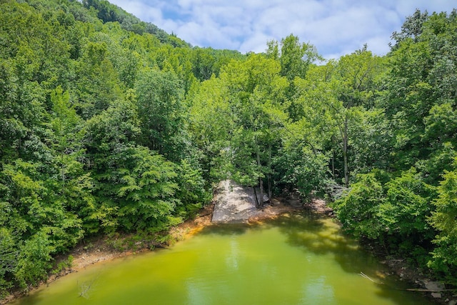 655 Lakeside Dr, Smithville, TN 37166 - water view featuring a heavily wooded area