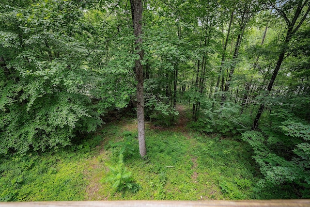 655 Lakeside Dr, Smithville, TN 37166 - view of woods