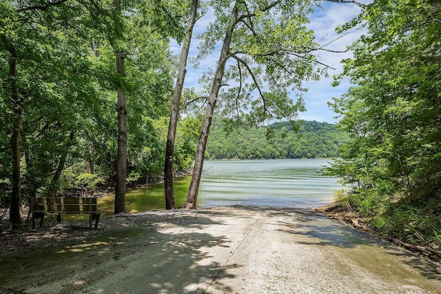655 Lakeside Dr, Smithville, TN 37166 - water view with a forest