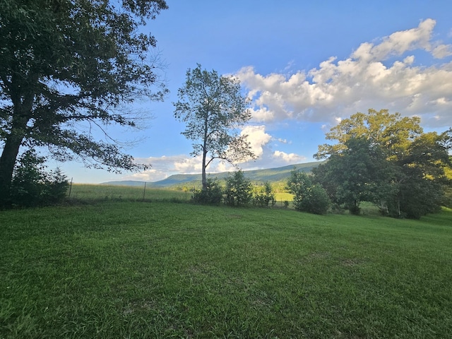 770 Jack Smith Rd, Dunlap, TN 37327 - view of green lawn with a view of rural / pastoral area
