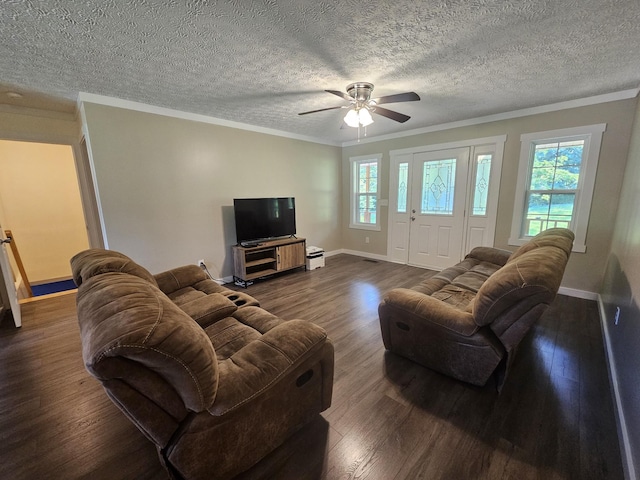 770 Jack Smith Rd, Dunlap, TN 37327 - living area featuring dark wood finished floors, crown molding, a ceiling fan, and a textured ceiling