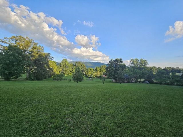 770 Jack Smith Rd, Dunlap, TN 37327 - view of grassy yard