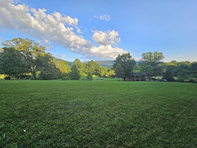770 Jack Smith Rd, Dunlap, TN 37327 - view of grassy yard