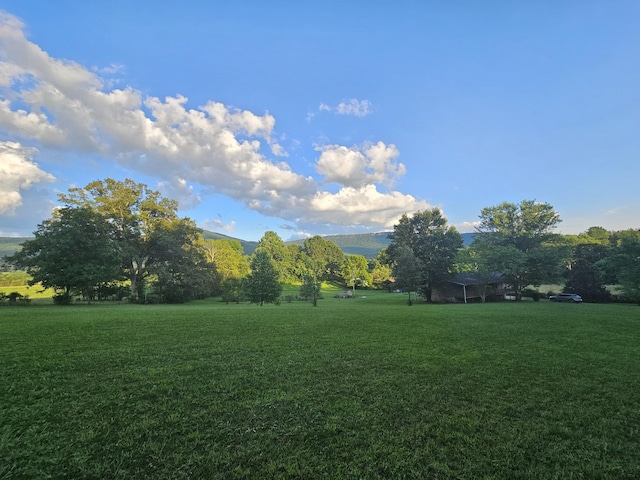 770 Jack Smith Rd, Dunlap, TN 37327 - view of green lawn