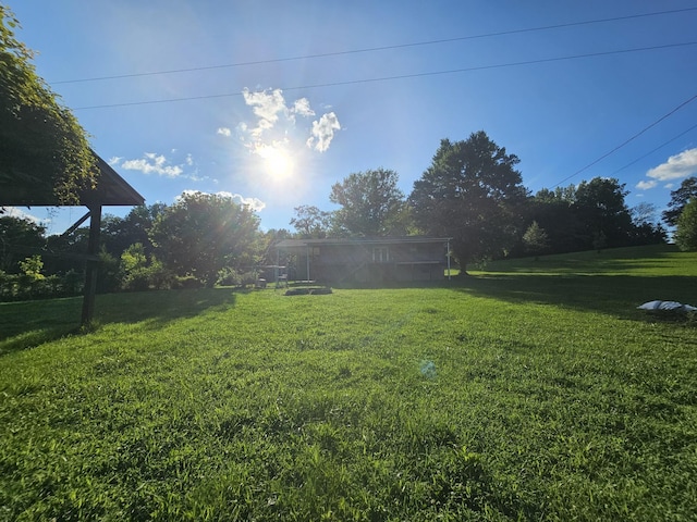 770 Jack Smith Rd, Dunlap, TN 37327 - view of grassy yard
