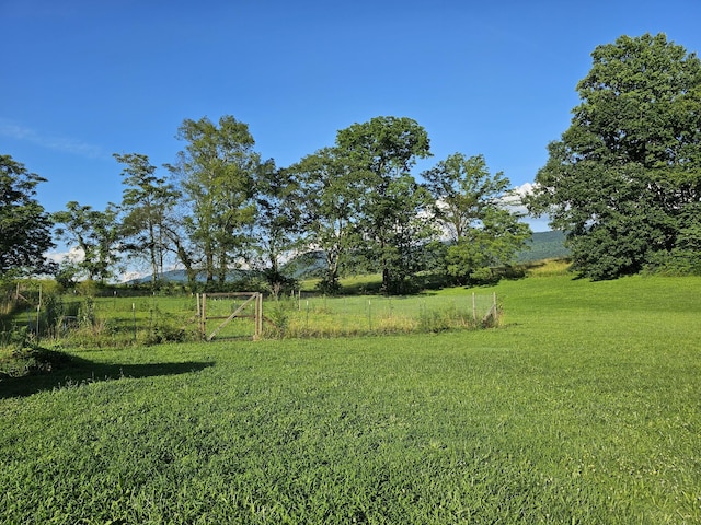 770 Jack Smith Rd, Dunlap, TN 37327 - view of green lawn featuring a rural view