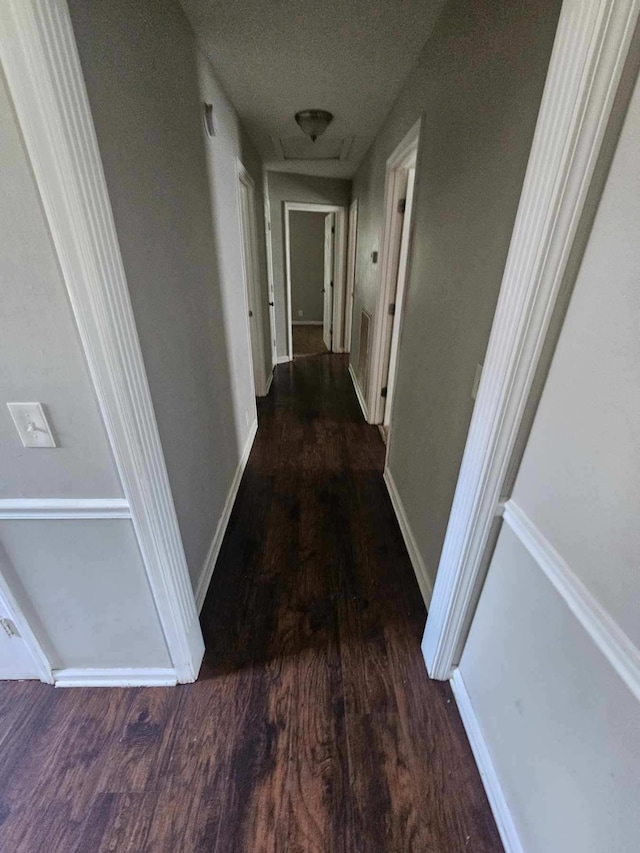 309 Byrd Ave, Murfreesboro, TN 37129 - hallway featuring wood finished floors and a textured ceiling
