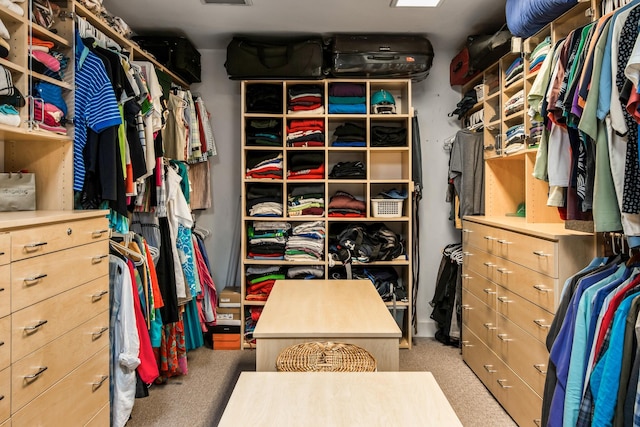 6607 Ormond Dr, Nashville, TN 37205 - walk in closet with carpet flooring