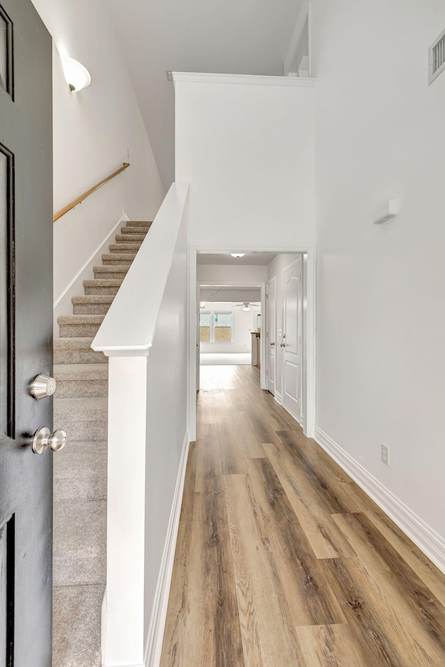 4247 Aurora Cir, Murfreesboro, TN 37127 - hall featuring wood finished floors and stairway