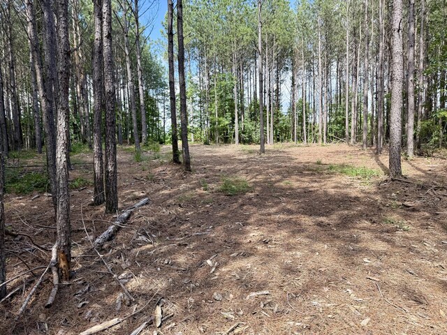 910 Seiber Ridge Rd, Hohenwald, TN 38462 - photo 13