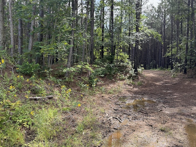 910 Seiber Ridge Rd, Hohenwald, TN 38462 - photo 24