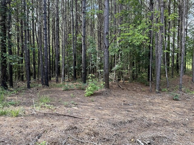 910 Seiber Ridge Rd, Hohenwald, TN 38462 - photo 21